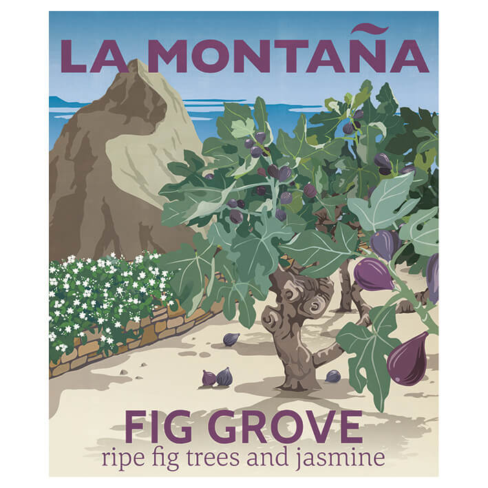 La Montaña Fig Grove Scented Candle - Osmology Scented Candles & Home Fragrance