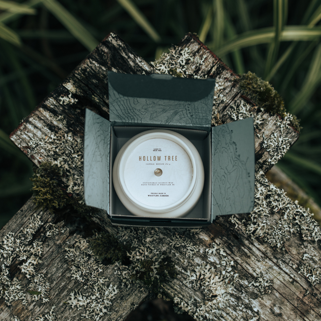 Hollow Tree Voyageur Scented Candle - Osmology Scented Candles & Home Fragrance