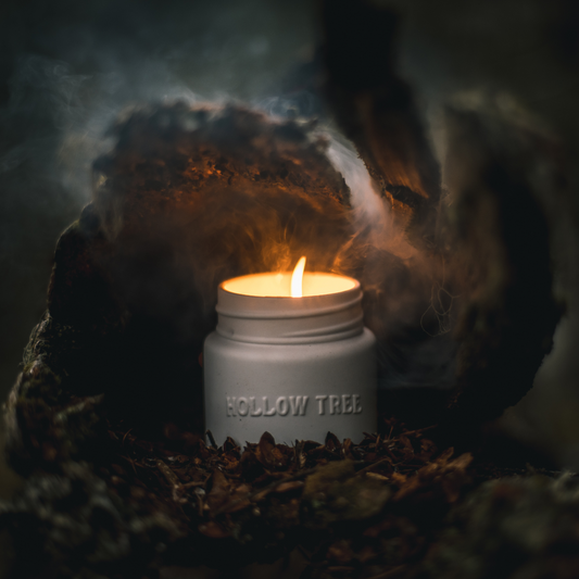 Hollow Tree Trails End Scented Candle - Osmology Scented Candles & Home Fragrance