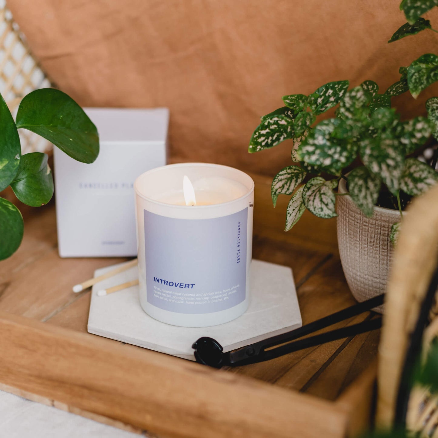 Introvert Scented Candle by Cancelled Plans