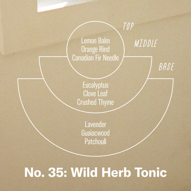 P.F. Candle Co. Wild Herb Tonic Reed Diffuser