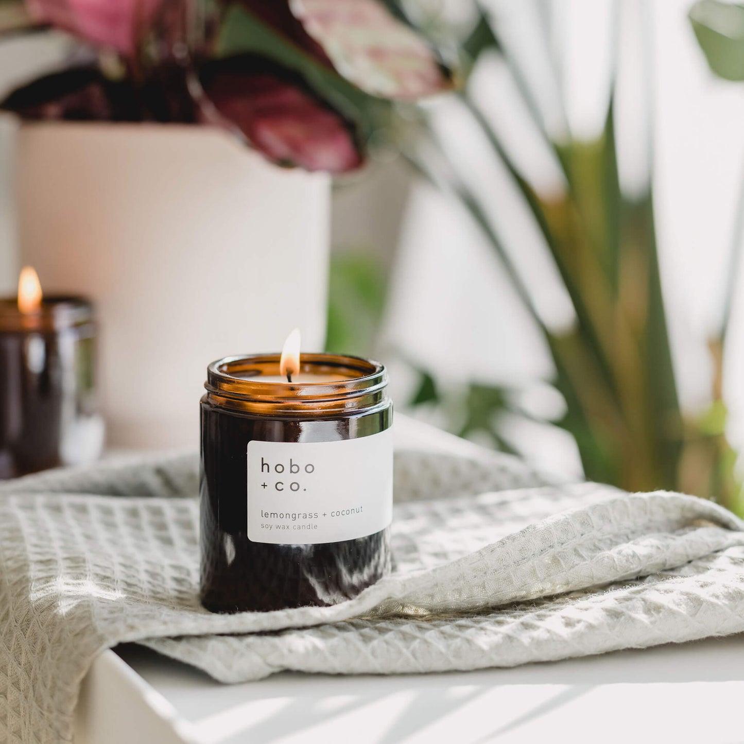 Lemongrass & Coconut Scented Candle by Hobo & Co.