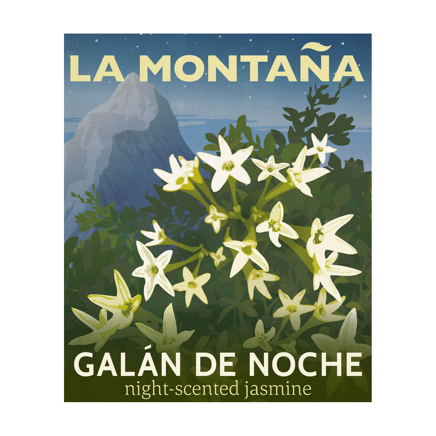 Galán De Noche Scented Candle by La Montaña