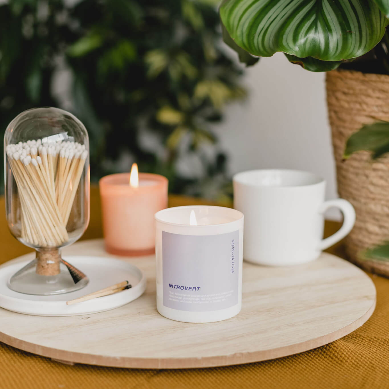Introvert Scented Candle by Cancelled Plans